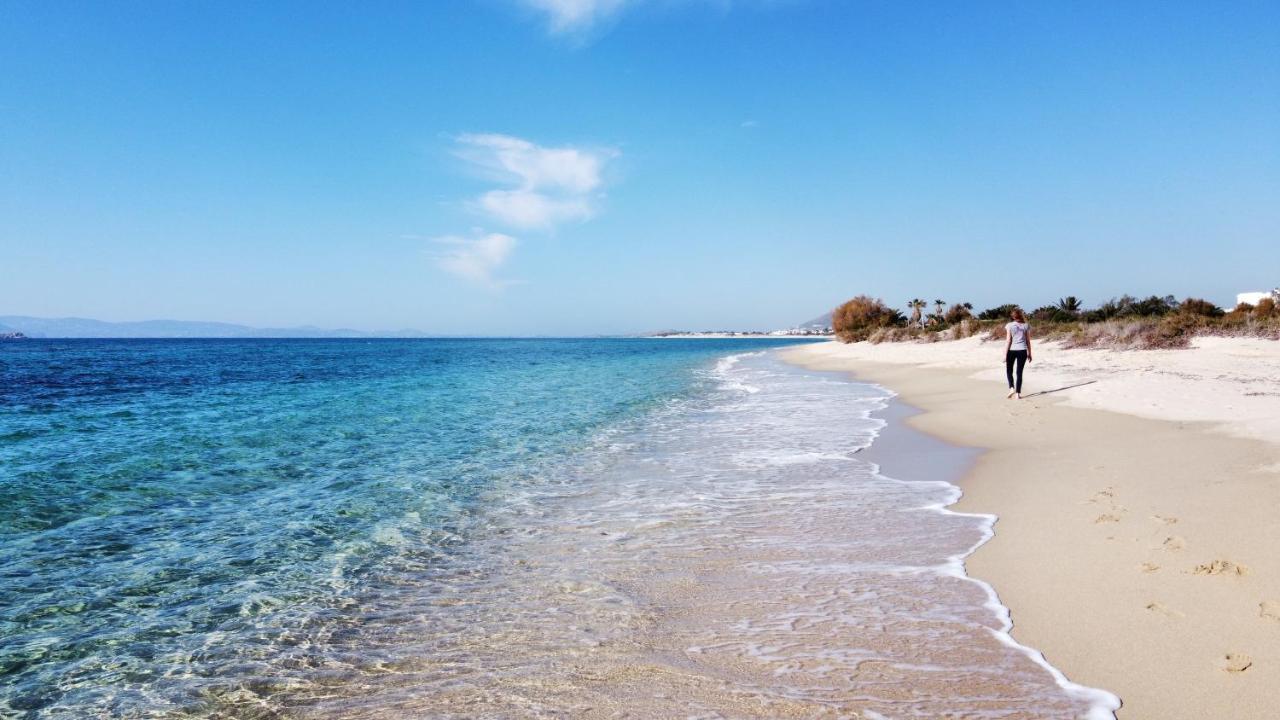 Studios Vrettos Beachfront Hotel Plaka  Bagian luar foto